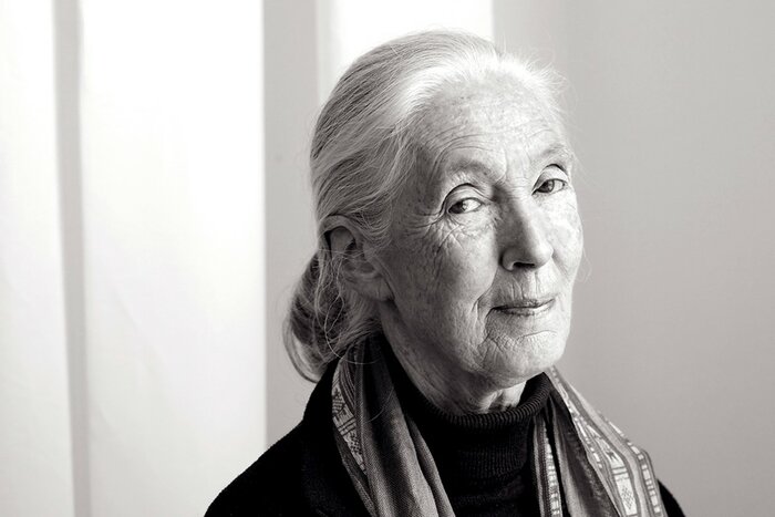 Jane Goodall